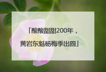 酸酸甜甜200年，黄岩东魁杨梅季出圈