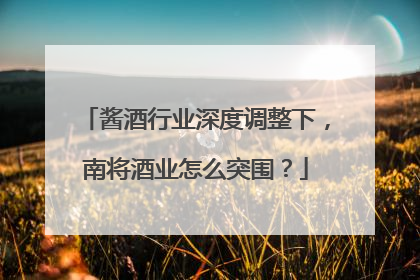 酱酒行业深度调整下，南将酒业怎么突围？