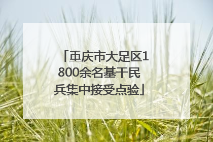 重庆市大足区1800余名基干民兵集中接受点验