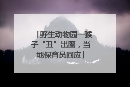 野生动物园一猴子“丑”出圈，当地保育员回应