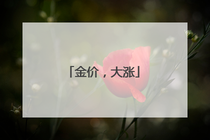 金价，大涨