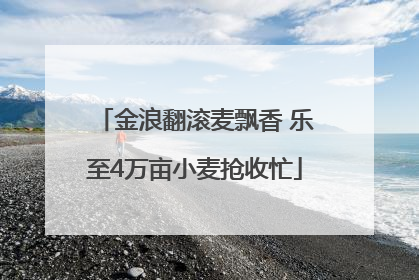 金浪翻滚麦飘香 乐至4万亩小麦抢收忙