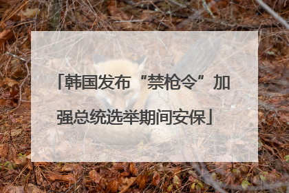 韩国发布“禁枪令”加强总统选举期间安保