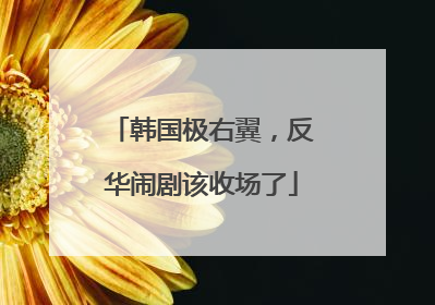 韩国极右翼，反华闹剧该收场了