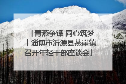青燕争锋 同心筑梦丨淄博市沂源县燕崖镇召开年轻干部座谈会