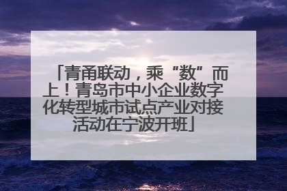 青甬联动，乘“数”而上！青岛市中小企业数字化转型城市试点产业对接活动在宁波开班