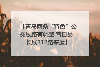 青岛两条“特色”公交线路有调整 昔日最长线312路停运