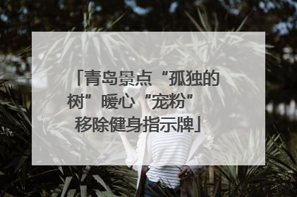 青岛景点“孤独的树”暖心“宠粉” 移除健身指示牌