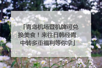 青岛机场登机牌可兑换美食！来往日韩经青中转多重福利等你拿