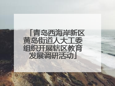 青岛西海岸新区黄岛街道人大工委组织开展辖区教育发展调研活动