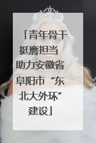 青年骨干挺膺担当 助力安徽省阜阳市“东北大外环”建设