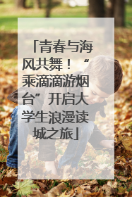 青春与海风共舞！“乘滴滴游烟台”开启大学生浪漫读城之旅