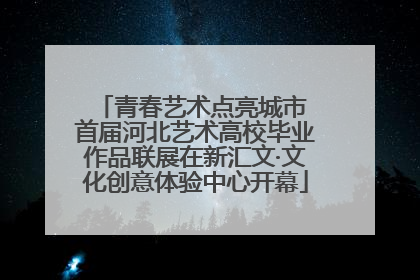 青春艺术点亮城市 首届河北艺术高校毕业作品联展在新汇文·文化创意体验中心开幕