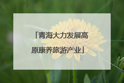 青海大力发展高原康养旅游产业