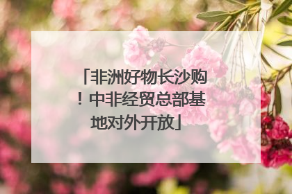 非洲好物长沙购！中非经贸总部基地对外开放