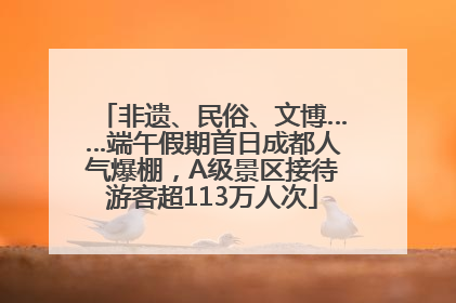 非遗、民俗、文博……端午假期首日成都人气爆棚，A级景区接待游客超113万人次