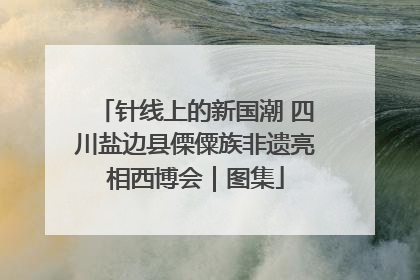 针线上的新国潮 四川盐边县傈僳族非遗亮相西博会｜图集