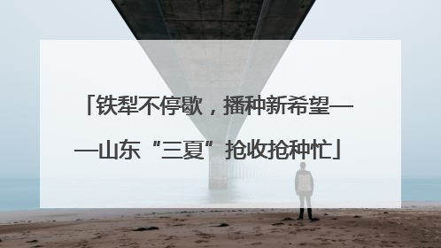 铁犁不停歇，播种新希望——山东“三夏”抢收抢种忙