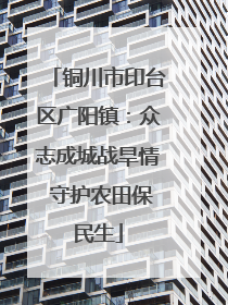 铜川市印台区广阳镇：众志成城战旱情 守护农田保民生
