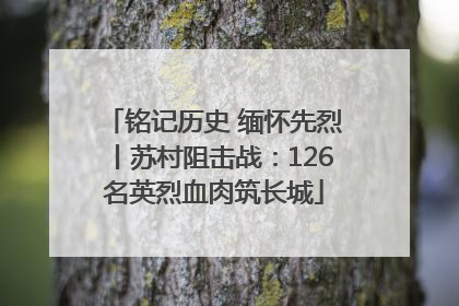 铭记历史 缅怀先烈丨苏村阻击战：126名英烈血肉筑长城