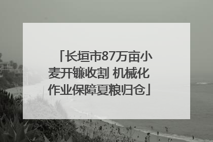长垣市87万亩小麦开镰收割 机械化作业保障夏粮归仓