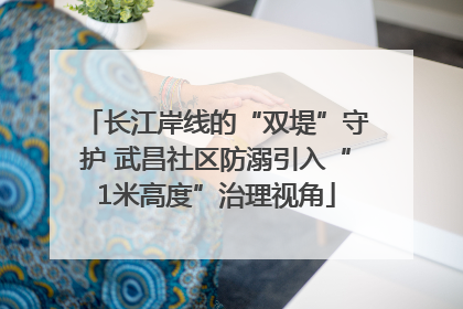 长江岸线的“双堤”守护 武昌社区防溺引入“1米高度”治理视角