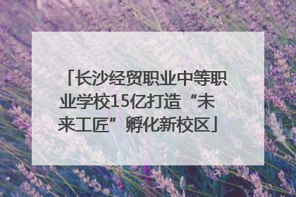 长沙经贸职业中等职业学校15亿打造“未来工匠”孵化新校区