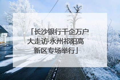 长沙银行千企万户大走访·永州祁阳高新区专场举行