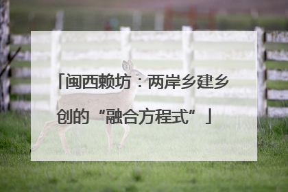 闽西赖坊：两岸乡建乡创的“融合方程式”