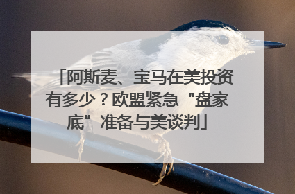 阿斯麦、宝马在美投资有多少？欧盟紧急“盘家底”准备与美谈判