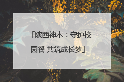 陕西神木：守护校园餐 共筑成长梦