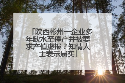 陕西彬州一企业多年缺水至停产并被要求产值虚报？知情人士表示属实