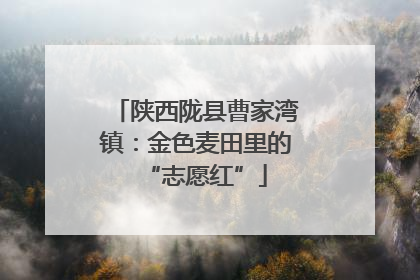 陕西陇县曹家湾镇：金色麦田里的“志愿红”