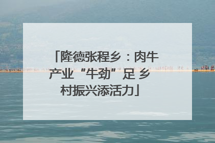 隆德张程乡：肉牛产业“牛劲”足 乡村振兴添活力