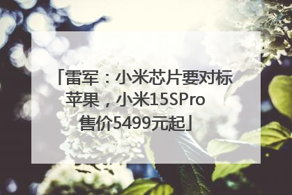 雷军：小米芯片要对标苹果，小米15SPro售价5499元起