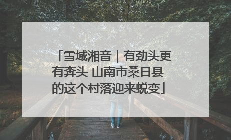 雪域湘音｜有劲头更有奔头 山南市桑日县的这个村落迎来蜕变