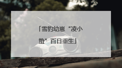 雪豹幼崽“凌小蛰”百日重生