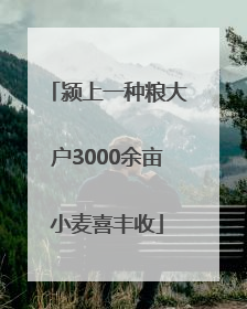 颍上一种粮大户3000余亩小麦喜丰收
