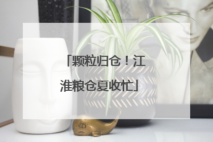 颗粒归仓！江淮粮仓夏收忙