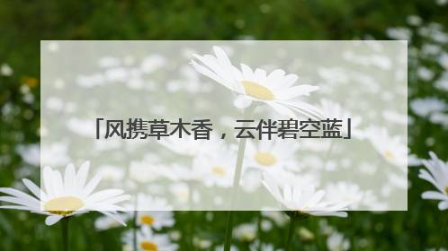 风携草木香，云伴碧空蓝