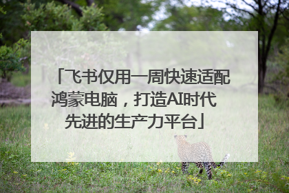 飞书仅用一周快速适配鸿蒙电脑，打造AI时代先进的生产力平台