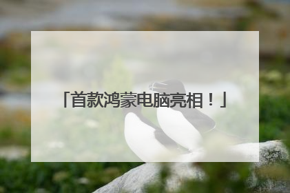 首款鸿蒙电脑亮相！