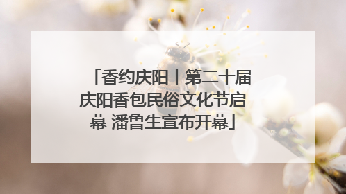 香约庆阳丨第二十届庆阳香包民俗文化节启幕 潘鲁生宣布开幕