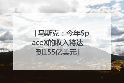 马斯克：今年SpaceX的收入将达到155亿美元