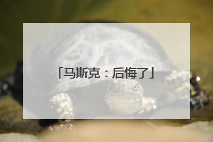 马斯克：后悔了