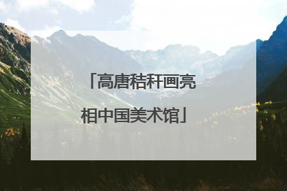高唐秸秆画亮相中国美术馆