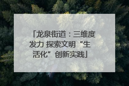 龙泉街道：三维度发力 探索文明“生活化”创新实践