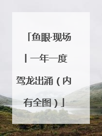 鱼眼·现场丨一年一度 驾龙出涌（内有全图）