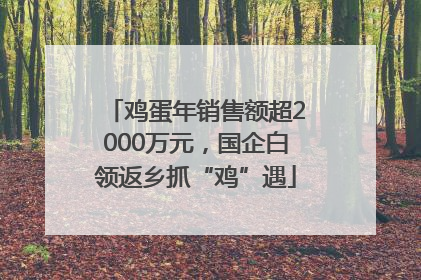 鸡蛋年销售额超2000万元，国企白领返乡抓“鸡”遇