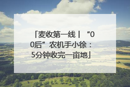 麦收第一线丨“00后”农机手小徐：5分钟收完一亩地